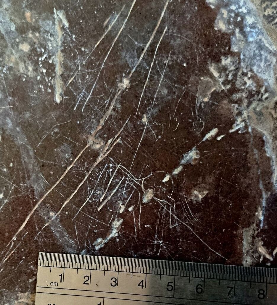 Newly discovered ‘Sasanian’ rock engravings depict mountain goat, horses in southern Iran