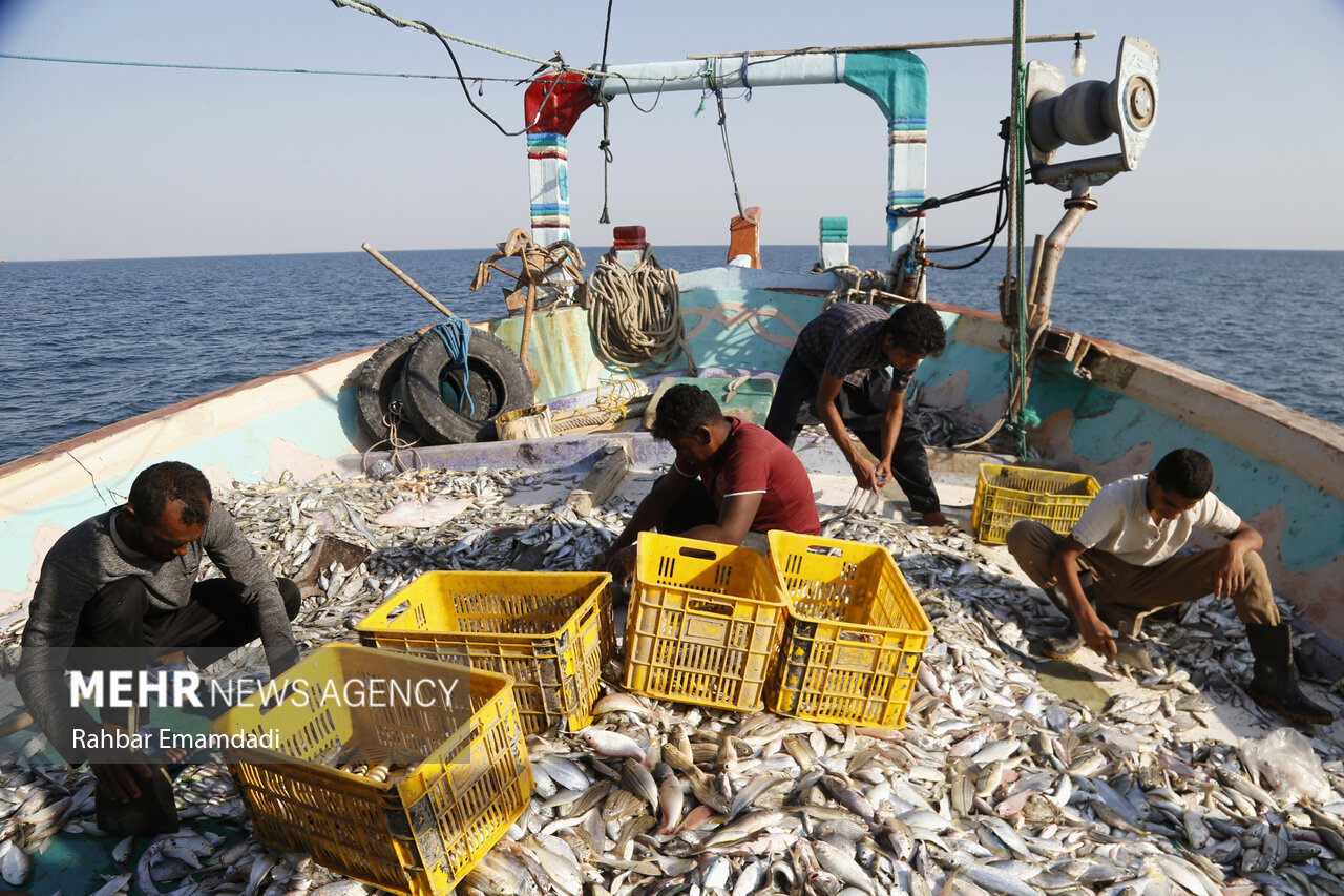 US drone strike targets Iranian fishing boats in the Persian Gulf