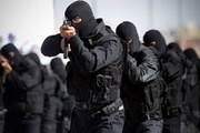 Intelligence Ministry: Three terrorist operational cells dismantled