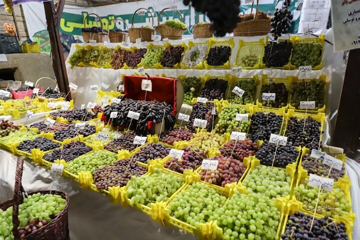 In Urmia, the grape is more than a fruit