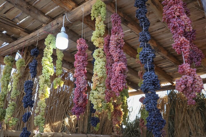 In Urmia, the grape is more than a fruit