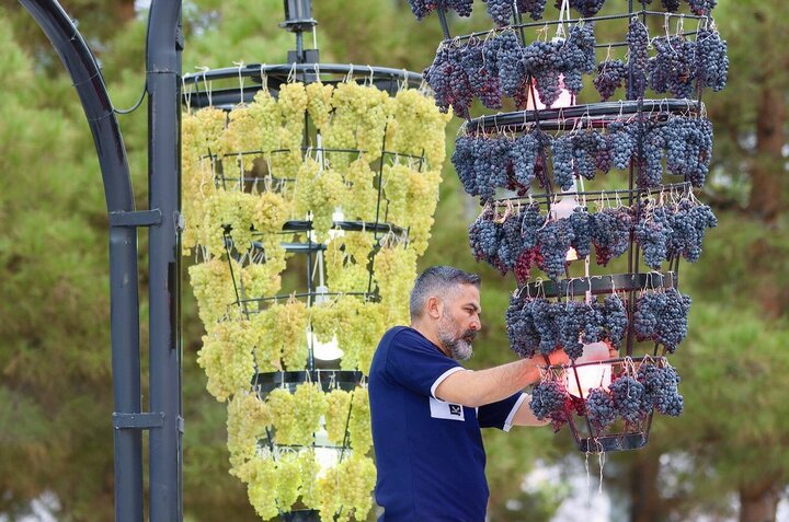In Urmia, the grape is more than a fruit