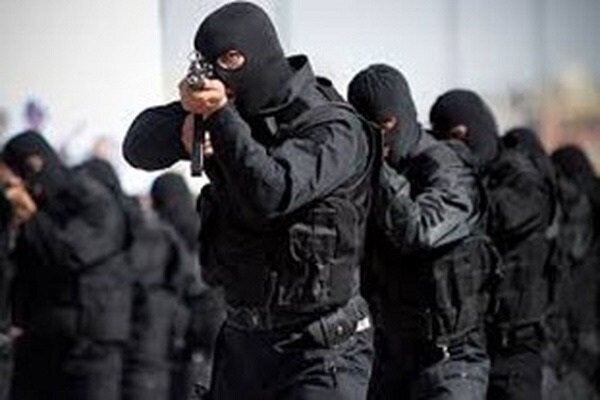 Intelligence Ministry: Three terrorist operational cells dismantled