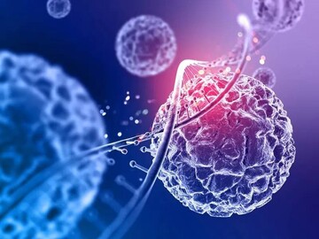 Royan Institute findings highlight MSCs’ potential for cell-based ASD therapy