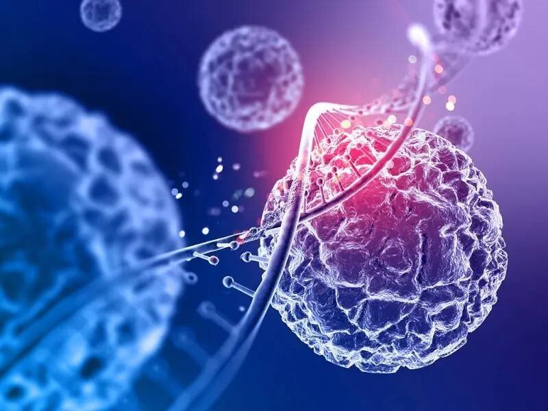 Royan Institute findings highlight MSCs’ potential for cell-based ASD therapy