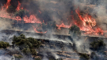 A fire blazes in an olive grove in the village of Salim, in the occupied West Bank, after an Israeli settler attack on 25 May 2025 (Jaafar Ashtiyeh/AFP)