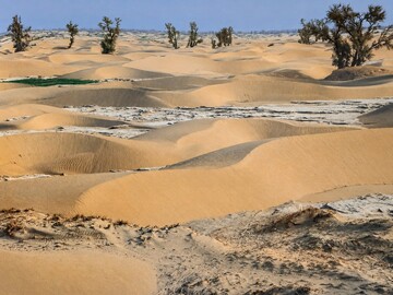 UNDP-backed assessment prioritizes 30 sand and dust storm hotspots in Iran