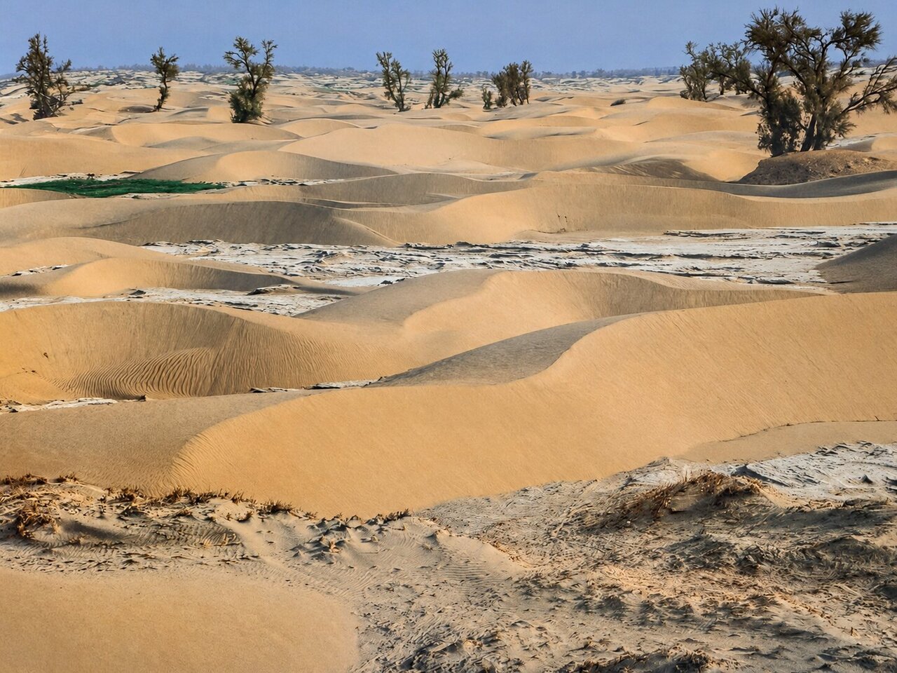 UNDP-backed assessment prioritizes 30 sand and dust storm hotspots in Iran
