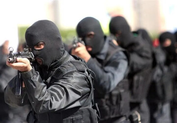 Iran dismantles four sabotage networks in Kerman Province: Intelligence Ministry