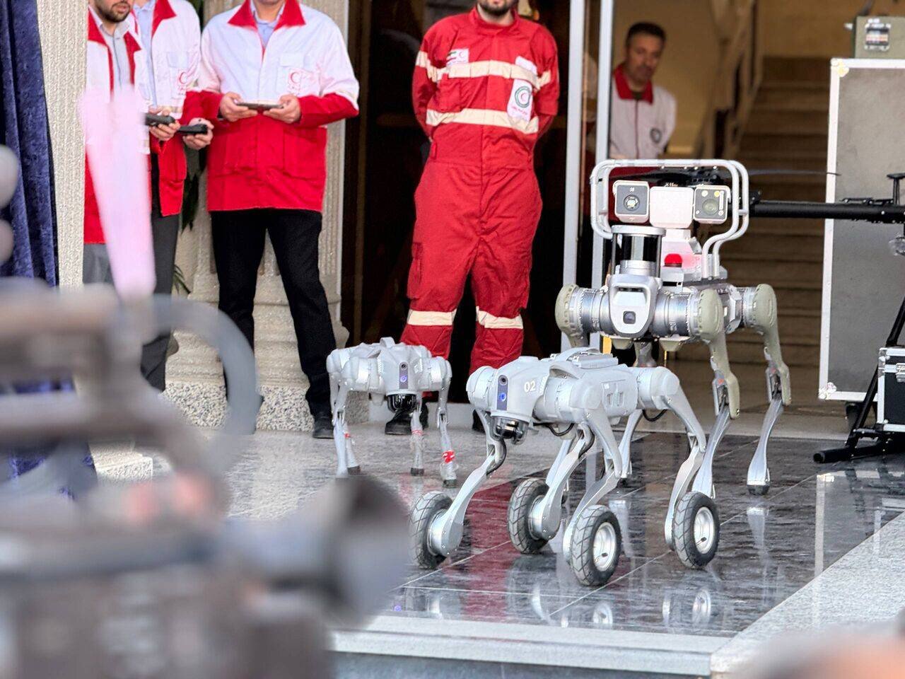 Homegrown robots to enhance IRCS rescue operations in crises