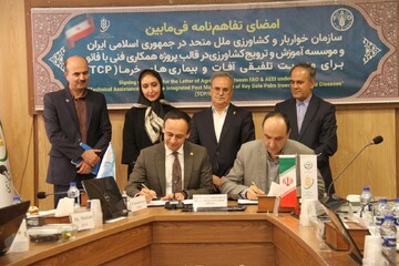 FAO boosts Iran’s capacity to protect date palms from pests and diseases