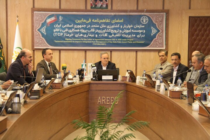 FAO boosts Iran’s capacity to protect date palms from pests and diseases