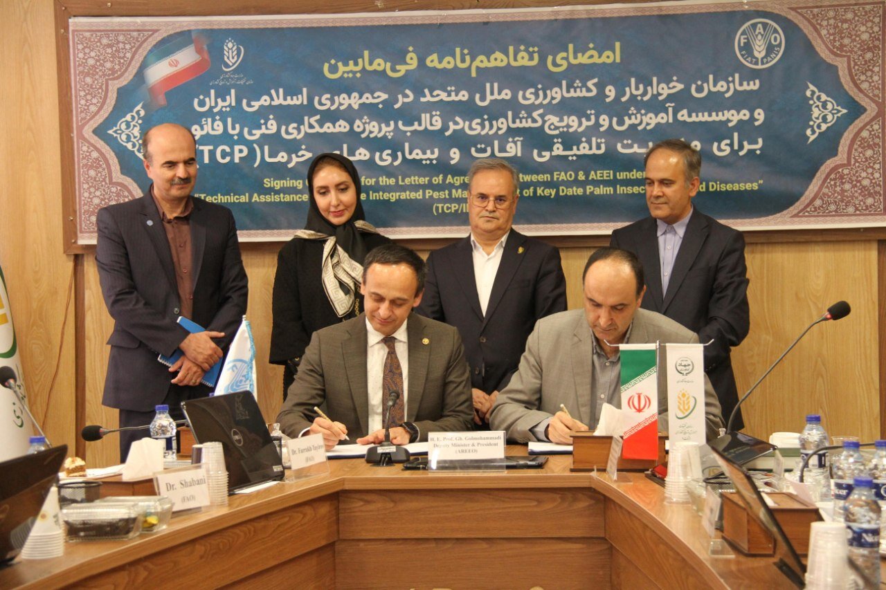 FAO boosts Iran’s capacity to protect date palms from pests and diseases