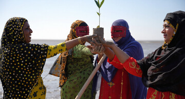 Rural women lead efforts to restore mangrove forests