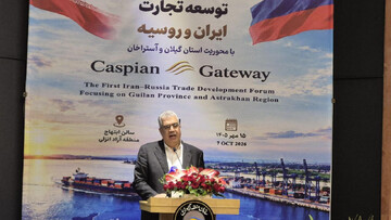 Iran's share of Russia's $300b market is negligible: TPO head