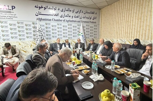 New horizons open for Iran-Afghanistan economic co-op during Iran’s trade delegation’s trip to Kabul