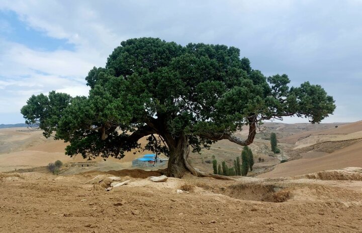 North Khorasan, the province I almost missed