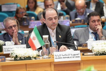 Iranian delegation attending WHO RC73
