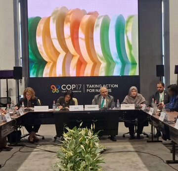 Biodiversity, peace and security are interconnected, DOE chief says