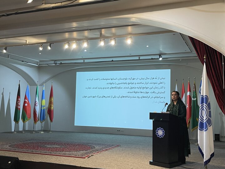 Pakistani Embassy in Tehran, ECO Cultural Institute host exhibit showcasing Pakistan’s rich history