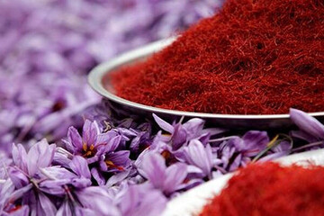 Saffron festival added to Iran’s intl. tourism events calendar